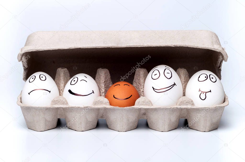 chicken eggs on isolated background