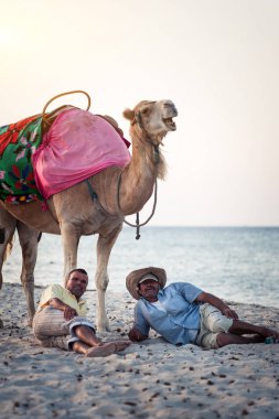 Deve sahibi Tunus sahilinde devesiyle yakın çekim