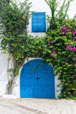 Evin eski, zarif girişi. Tunus kapısı