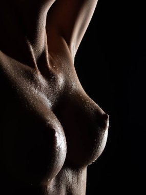 Seksi, çıplak bir kadın. Çıplak, şehvetli, güzel kız.