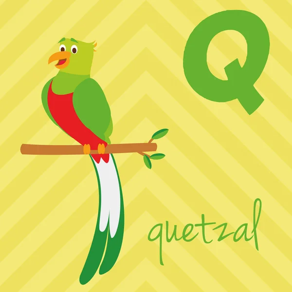Cute Cartoon Zoo Illustrated Alphabet Funny Animals Spanish Alphabet Quetzal — Stock Vector