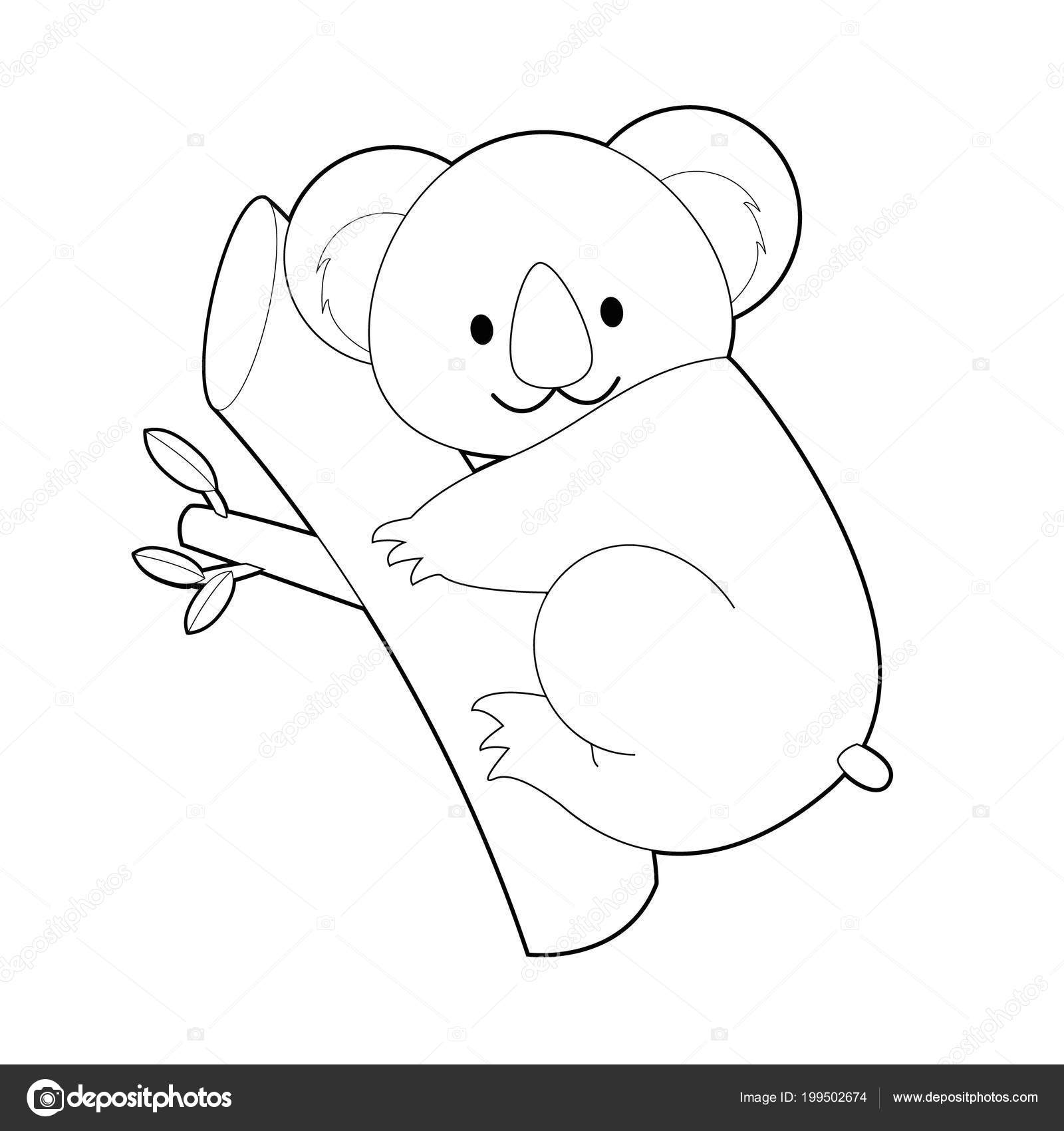 Facile Colorare Disegni Animali Bambini Piccoli Koala