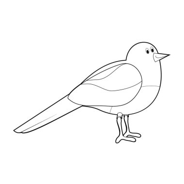 Kolay hayvan çizimleri küçük çocuklar için boyama: Saksağan