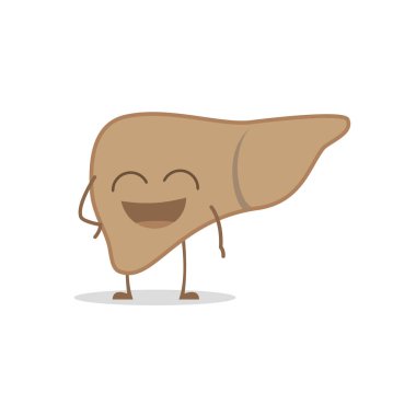 Vektör çizim karikatür tarzı sağlıklı ve komik karaciğerde.