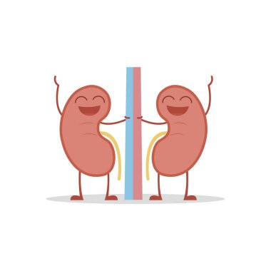 Vektör çizim karikatür tarzı sağlıklı ve komik böbrekler.