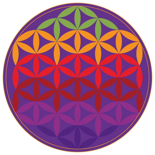 Flower of life - sacred geometry - symbol harmony and balance Stock ...