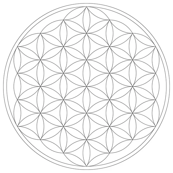 Геометрична Фігура Священна Геометрія Квітка Життя Векторні Ілюстрації — стоковий вектор