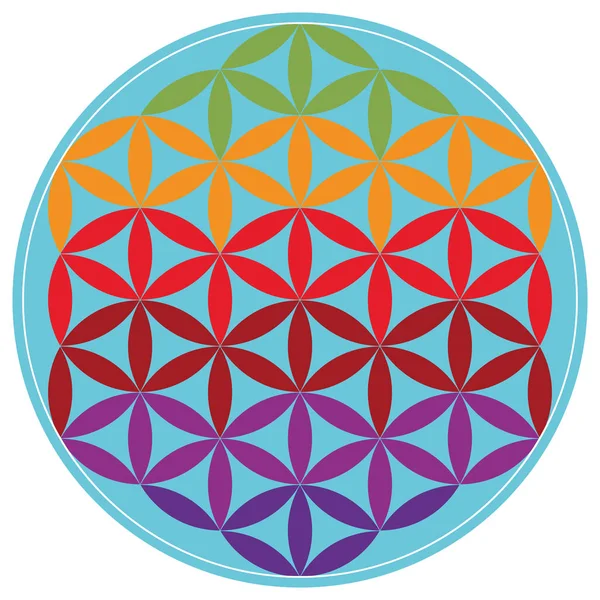 Renkli geometrik şekil. Kutsal Geometri Flower of Life vektör çizim