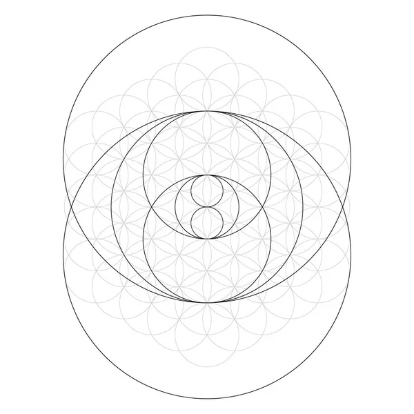 Геометрическая Фигура Сакральная Геометрия Torus Yantra Векторная Иллюстрация Гипнотического Глаза — стоковый вектор