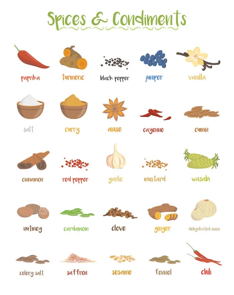 Conjunto Especies Culinarias Diferentes Condimentos Estilo Dibujos Animados — Vector de stock