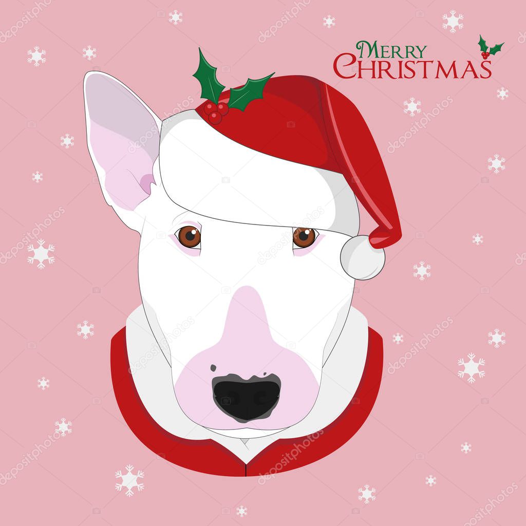 Christmas greeting card. Bull Terrier dog with red Santa's hat