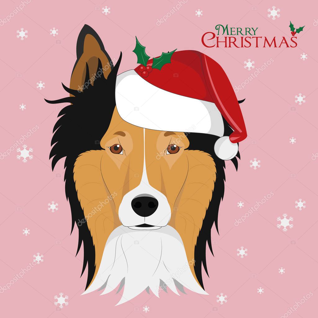 Christmas greeting card. Collie Rough dog with red Santa's hat