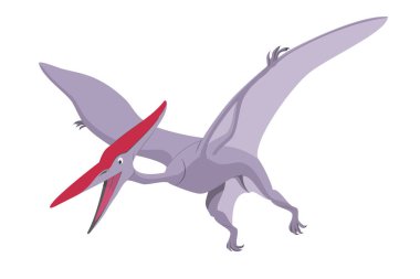 Pterodactyl vector illustration isolated in white background. Dinosaurs Collection. clipart