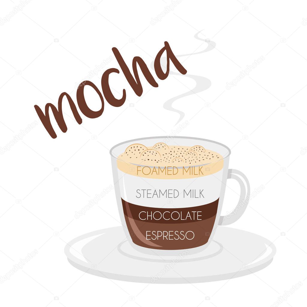 Vector illustration of a Mocha coffee cup icon with its preparation and proportions.