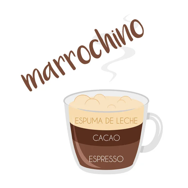 Ilustración Vectorial Icono Taza Café Marrochino Con Preparación Proporciones Nombres — Vector de stock