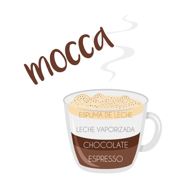 Vector Illusztráció Mocha Csésze Kávé Ikonra Annak Előkészítése Arányok Nevek — Stock Vector