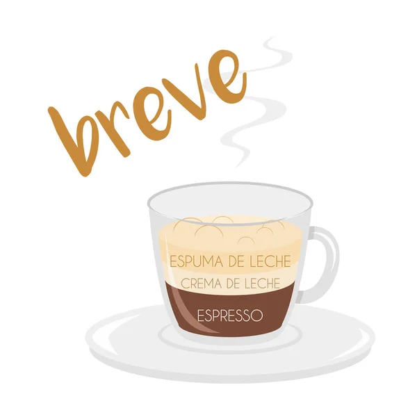 Breve 咖啡杯图标的矢量插图 其准备和比例以及西班牙语名称 — 图库矢量图片
