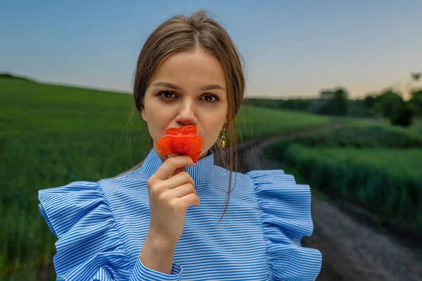 Mavi ve beyaz çizgili elbiseli Genç kadın kırmızı bir haşhaş çiçek bahar akşam gün batımı sırasında yeşil buğday field yakınındaki ülke yolda dururken dolanıyor. Kadın dalgın görünüyor.
