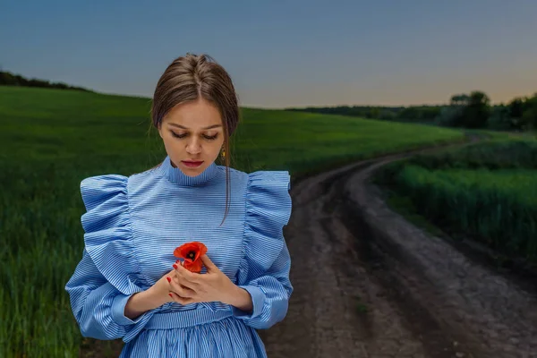 Mavi ve beyaz çizgili elbise genç kadın kırmızı bir haşhaş çiçek yeşil buğday field yakınındaki ülke yolda duran bir bahar akşam gün batımı sırasında onun elinde tutuyor. Kadın dalgın görünüyor.