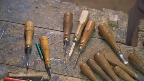 Overhead Pan Set Chisels Wood Carver Who Carves Leaves Flowers — Stock Video