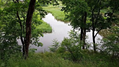 Yaz günü çimenlerle kaplanmış bankalarla dolu dar bir nehir..
