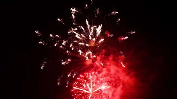 Beau spectacle de feux d'artifice dans le ciel nocturne — Video