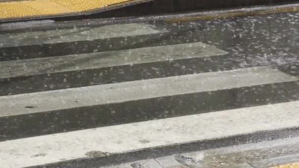 Kapky deště na ulici, velký — Stock video