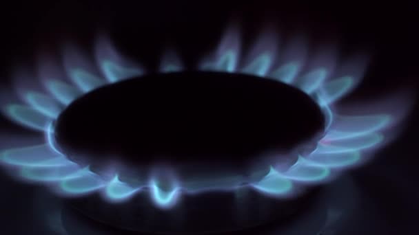 天然ガス ストーブ バーナーの炎症 夜のガスコンロ — ストック動画