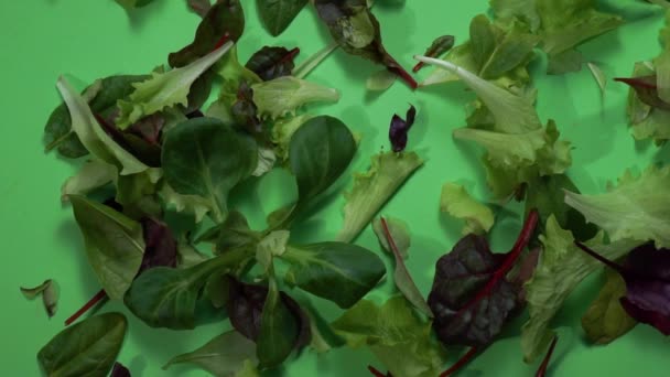 Mescolare insalata cade su uno sfondo verde, rallentare il movimento — Video Stock