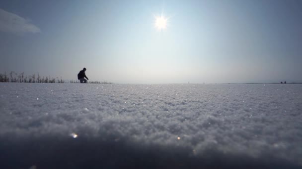 Um homem a andar na neve. Preto e branco.Silhueta dramática de um homem caminhando em uma clareira nevada na floresta . — Vídeo de Stock