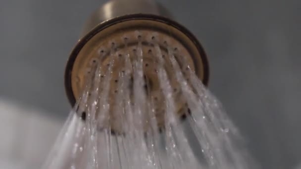 Movimento lento de gotas de água na cabeça do chuveiro . — Vídeo de Stock