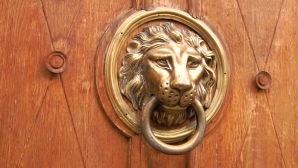 Poignée de porte à tête de lion. Bouton de porte ancienne — Video