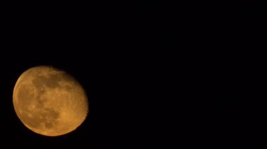 Moon faz gerçekçi fit yükseklik Loop Stars Moon transit Ile