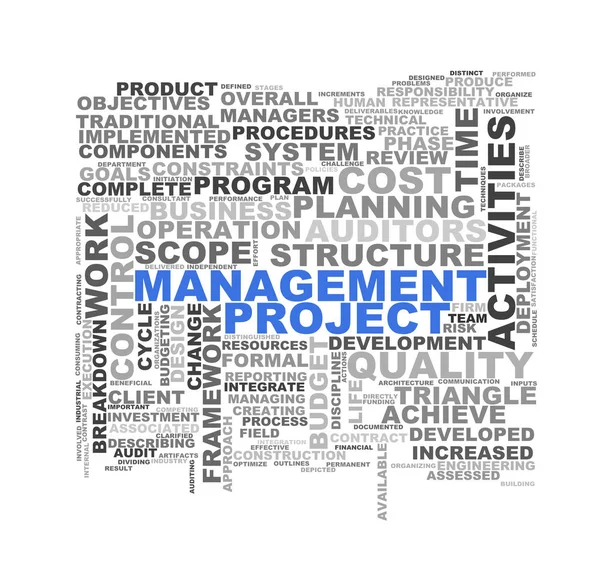 Word tags wordcloud of project management