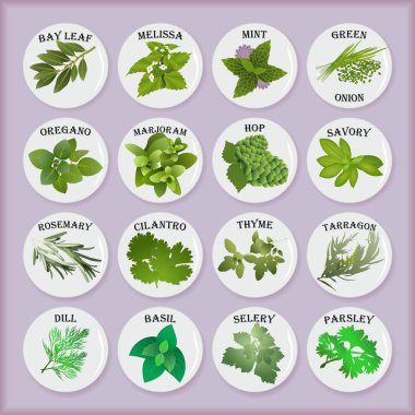 Mutfak baharat ile mutfak sopa