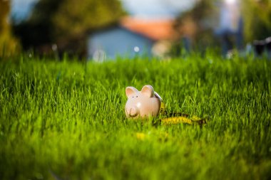 Kumbara ev arka plan