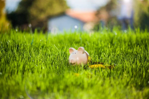 Ceramic Pig Saving Money Outdoor Grass Field — Stock Photo, Image