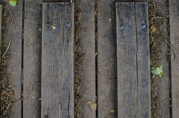 Wooden Textural Background Design — Stock Photo, Image