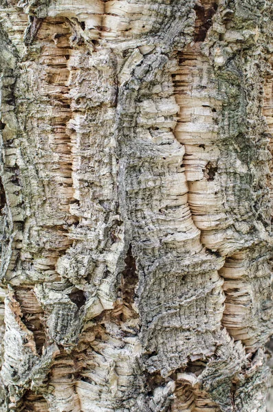 Ahşap dokusal arka plan tasarımı için