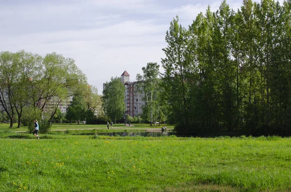 サンクトペテルブルク ロシア 2019 夏の緑の公園 小さな湖人々は公園を歩く — ストック写真