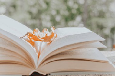 Yeşil arka plan üzerinde bir sonbahar yaprağı ile açık kitap
