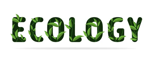 Ecología Verde Palabra Concepto Para Cuidado Naturaleza Diseño Hojas Verdes — Vector de stock