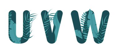 Alfabenin U V W harfleri. Yaprak tasarımı.