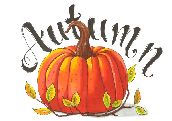 Autumn illustration. Drawn pumpkin with the word Autumn.