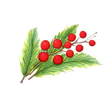 Noel arkaplanda el yapımı Holly Berry izole edilmiş. Tasarım için bir element.