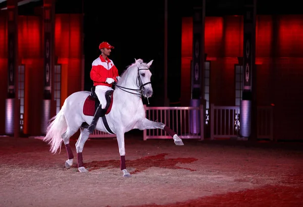 SAKHIR, BAHRAIN - MARCH 22: A horserider of Bahrain performs on March 22, 2014 in Bahrain International Endurance Village during the Bahrain Animal Production Show (Mara\'ee) 2014