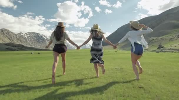 Grupo de amigos tomados de la mano y huyendo de la cámara hacia la montaña — Vídeo de stock