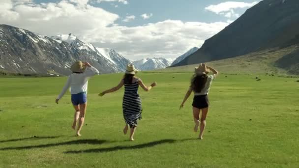 Groupe d'amis tenir la main et courir loin de la caméra vers la montagne — Video