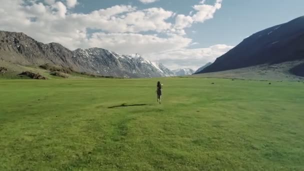 Ευτυχισμένη γυναίκα σε ένα φόρεμα έχοντας διασκέδαση τρέξιμο στη φύση πεδίο ενθουσιασμένος ευτυχία χαρά φέρνει στο προσκήνιο ένα καπέλο στον ουρανό. Χαρούμενη δραστήριο τρόπο ζωής — Αρχείο Βίντεο