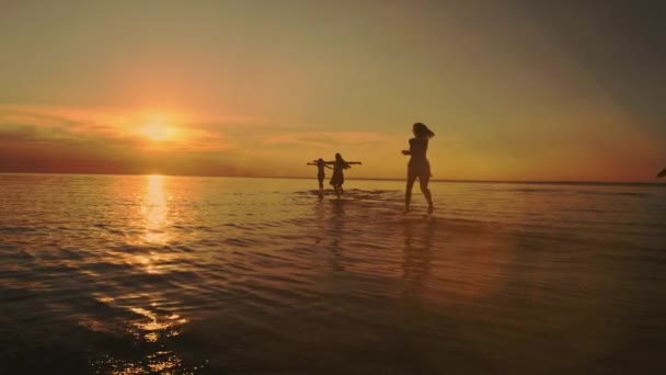 Dostluk özgürlük Beach yaz tatili kavramı. Güzellik ve eğleniyor, dans, yaz günbatımı üzerinde püskürtme neşeli genç arkadaşlar. Plaj partisi. Güneş parlaması. Ağır çekim. — Stok video